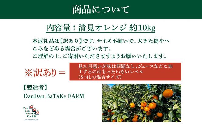 【訳あり】清見オレンジ 約10kg ※離島への配送不可 IKTAU011