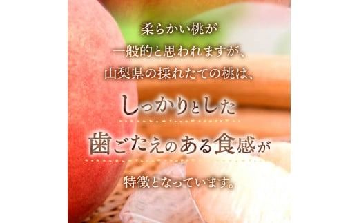 【2025年先行予約】山梨の朝どれ桃 （ 単品 定期便 が選べる）桃 山梨県産桃 果物 くだもの 果物 フルーツ もも