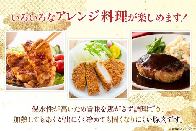 豚肉 宮崎県産豚肉 5kg 詰め合わせ セット [TRINITY 宮崎県 日向市 452061325] 小分け 豚 肉 宮崎 ロース スライス 豚バラ とんかつ 切り落とし ミンチ 豚ミンチ ひき肉 真空パック