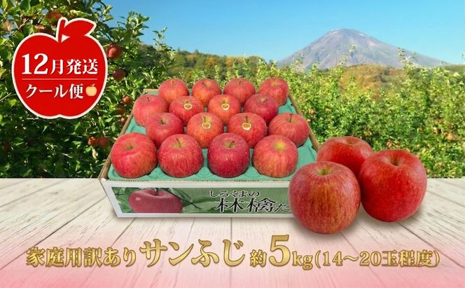 【12月発送】白熊 訳あり家庭用 サンふじ 約5kg 糖度13度【青森りんご 果物 フルーツ 食後 デザート シャキシャキ ジューシー りんごの王様 】