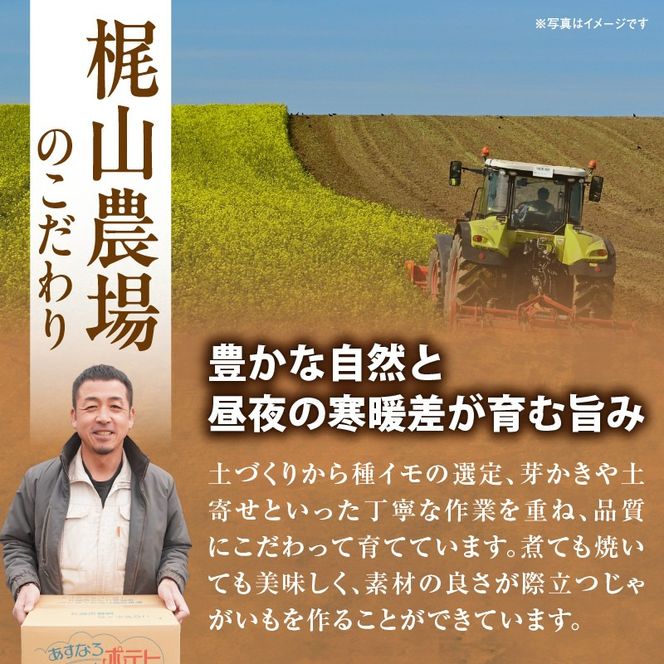 先行受付！ホクホク！しっとりなめらか！ 北海道産 男爵 いも