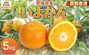 【栽培期間中農薬不使用】【先行受付】【数量限定】農園直送！愛媛県産 いよかん 5kg （2026年1月上旬頃より順次発送） IKTG015