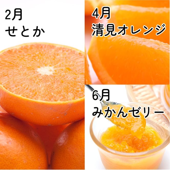【定期便】家庭用 柑橘定期便 M 6回（偶数月）※北海道・沖縄・離島への配送不可※偶数月に発送
