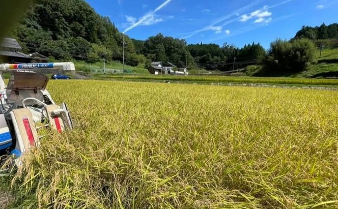 先行販売！令和7年度産　伊賀産コシヒカリ　極上　箸ひかり(精米真空パック)900ｇ×3袋 コシヒカリ 3年連続 特A 米 こしひかり ご飯 ごはん 白米 精米 三重県 名張市