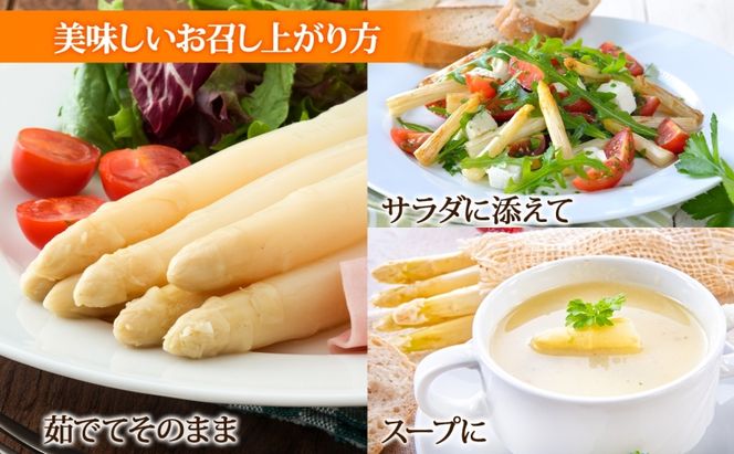 【 2026年 発送 】 北海道産 アスパラガス ホワイト 約 900g  L - 2L サイズ 混合 アスパラ 旬 朝採り 新鮮 お取り寄せ 産地直送 産直 野菜 農作物 詰め合わせ 国産 北海道 倶知安町 