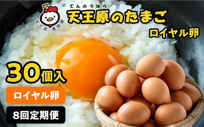 【定期便】8回定期 【天王原のたまご】 ロイヤル卵 30個入り 定期便 たまご 卵