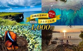 【返礼品なし】沖縄県恩納村ふるさと応援寄附金 1000円