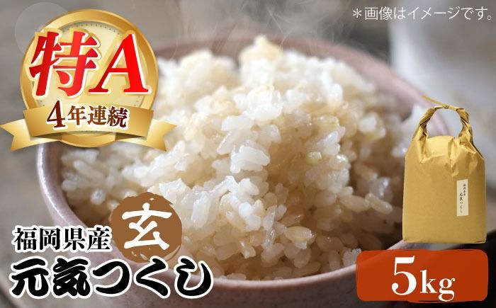 令和7年産[特A]評価のお米「元気つくし」5kg×1袋 [5kg] [玄米][築上町][株式会社ベネフィス][ABDF202]