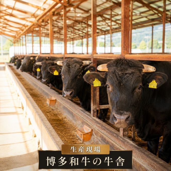 博多和牛 モモ 焼肉用・スライス 計800g (各400g) 牛肉 肉 セット ※配送不可：離島