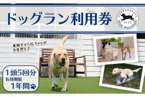 メール便でお届け！ドッグラン利用券(1頭5回分) 犬 ワンちゃん ペット チケット 体験 レジャー 自然 屋内 屋内 ラン 川遊び ポスト投函 大分県 佐伯市【HI002】【ドッグラン＆カフェblue mountain】