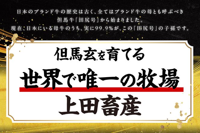 【但馬牛 究極の但馬牛 “但馬玄“ サーロインステーキ1kg 冷蔵】「満天 青空レストラン」で紹介！但馬玄 たじまぐろ あっさり 脂 最高級 牛肉 国産 サーロイン ステーキ BBQ キャンプ 和牛 但馬ビーフ 但馬 大人気 人気 ふるさと納税 返礼品 おすすめ ランキング 香美町 村岡 上田畜産 TJM 01-09