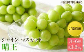 ぶどう 2026年 先行予約 ご家庭用 シャイン マスカット 晴王 3～6房 約1.5kg ブドウ 葡萄  岡山県産 国産 フルーツ 果物 太陽 美しい 外観 大粒 高糖度 種なし 皮ごと 弾力 食感 美味しい 