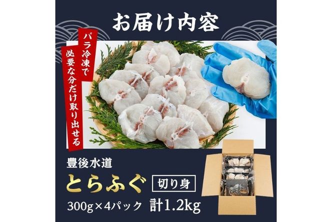 豊後水道 とらふぐ 切り身 (計1.2kg) ふぐ フグ トラフグ ふぐ鍋 唐揚げ ふぐちり てっちり 小分け 切身 切り身魚 切身魚 大容量 国産 冷凍 養殖 岬ふぐ【JJ001】【浪井丸一水産】