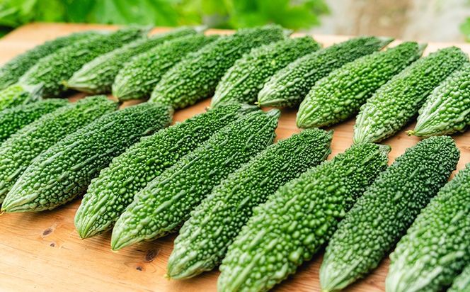 【Farm CRESCERE】ゴーヤー2kg以上 沖縄 大宜味村 ゴーヤー ごーやー チャンプルー 野菜 ふるさと納税 送料無料 沖縄料理 おかず サラダ アレンジ料理 ご当地 郷土料理 ちゃんぷるー 常温 プレゼント 食べ物 2kg