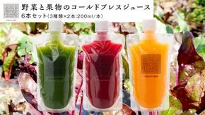 野菜と果物の コールドプレスジュース 200ml × 6本セット 酵素ドリンク ライフスタイル 健康 美容 野菜 果物 新鮮 特別栽培 SDGs ジュース 冷凍 [DZ01-NT]
