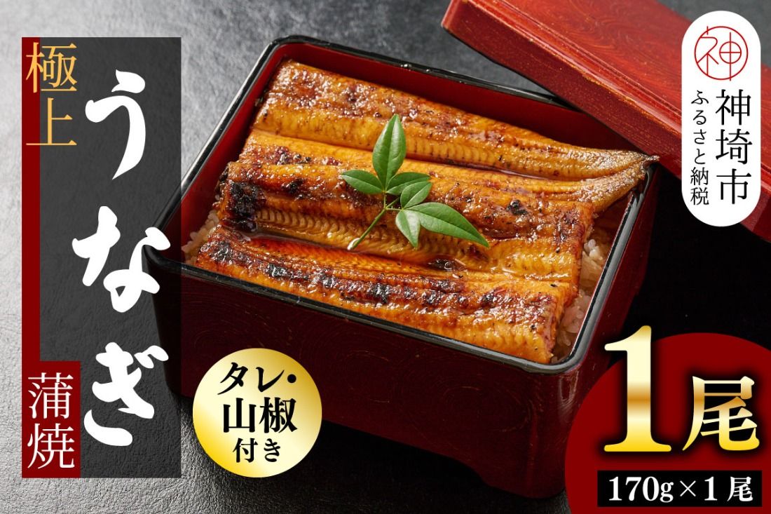 [職人手焼き]国産特大うなぎ蒲焼1尾(約170g前後)[国産 特大 うなぎ 鰻 ウナギ ふっくら 柔らか 鰻重 きざみ鰻 うなぎのせいろ蒸 タレ付 弁当](H097112)
