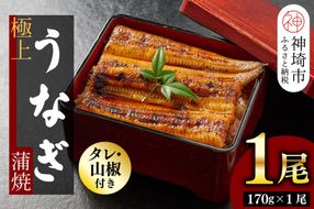 【職人手焼き】国産特大うなぎ蒲焼1尾（約170g前後）【国産 特大 うなぎ 鰻 ウナギ ふっくら 柔らか 鰻重 きざみ鰻 うなぎのせいろ蒸 タレ付 弁当】(H097112)