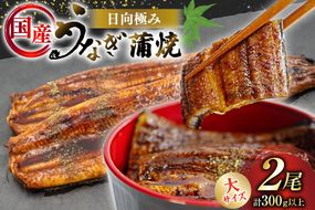 うなぎ 国産 日向極み うなぎ蒲焼 2尾 計300g以上 【たれ・山椒付き】 [日向サンパーク 宮崎県 日向市 452061636] ギフト 小分け 真空パック 鰻 ウナギ うなぎの蒲焼 蒲焼 蒲焼き