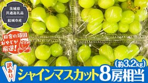Tシャツ3点セットバック付 お子様 子供 リメイク リメイクバック