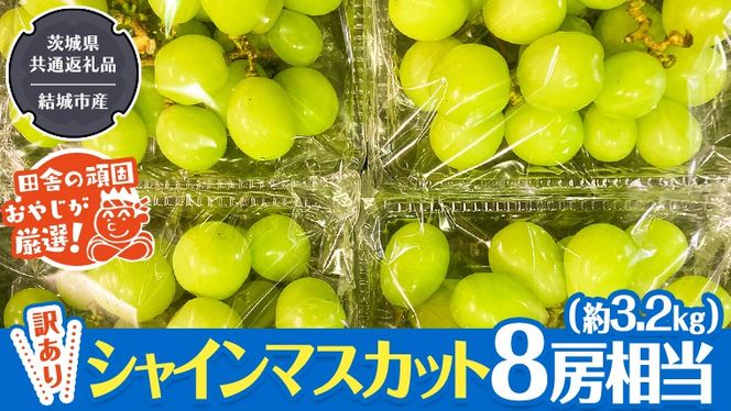 【 訳あり 】 シャインマスカット 8房相当（約3.2kg） 【2025年9月より発送開始】 田舎の頑固おやじが厳選！（茨城県共通返礼品 [ぶどう]：結城市産） 果物 フルーツ 不揃い わけあり 先行予約 家庭用 フルーツ ブドウ 果物 ぶどう シャイン マスカット くだもの 先行予約[BI209-NT]