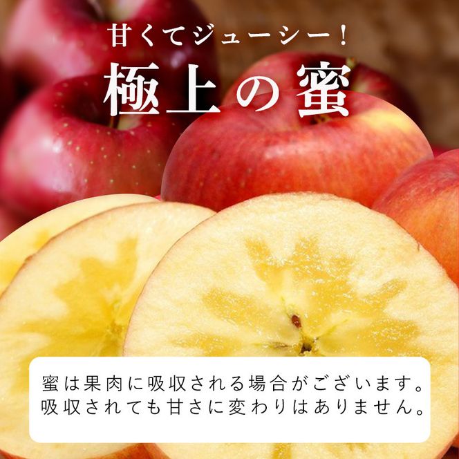 りんご 【12月・1月発送】 蜜入り 糖度13度以上  訳あり品 家庭用 葉とらず サンふじ 約 3kg 【 青森りんご 】 果物 フルーツ 産地直送 糖度測定 褐変 チェック 贈り物 年末 挨拶