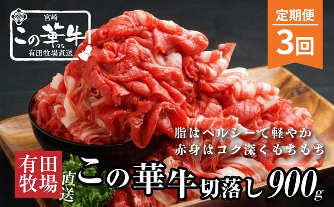 y{茧؏钬zLcq꒼̉؋؂藎Ƃ900g  R K20_T001_1