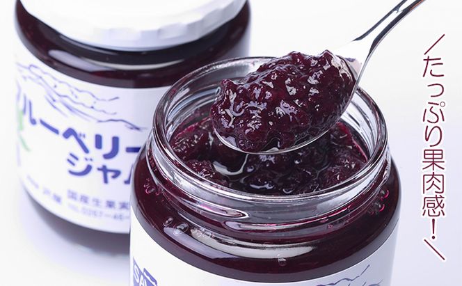 ジャム ブルーベリー 125g 5本 セット 信州小諸産 長野 加工品 フルーツ 果物 