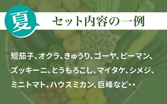 【10回定期便】 豪華！野菜 果物 きのこセット 15品目以上  / 野菜定期便 やさい定期便 フルーツ 果物 キノコ 詰め合わせ / 南島原市 / 吉岡青果[SCZ025]