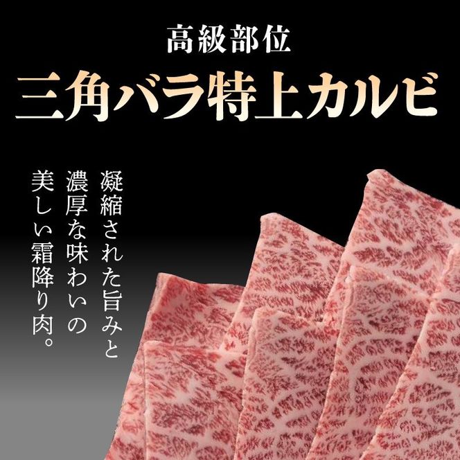 宮崎牛 特上カルビ焼肉用(三角バラ)600g N0140-YB629