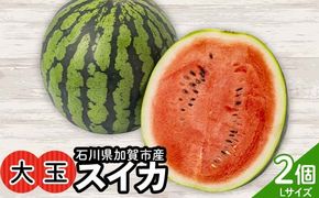 【2026年先行予約】浜井さんの甘い！大玉スイカ　石川県加賀市産 スイカ 西瓜 デザート フルーツ 果物 スイカスイカスイカスイカ F6P-2624