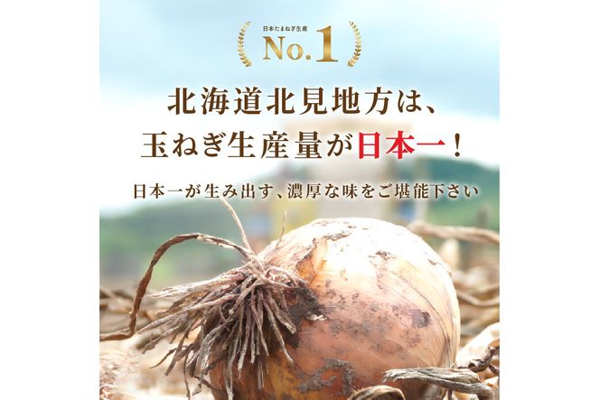 《14営業日以内に発送》大地の恵み北海道オニオンスープ 12袋×2箱 ( スープ オニオンスープ 玉葱 タマネギ たまねぎ 即席 ふるさと納税 )【125-0085】