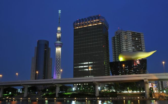 屋形船遊覧　乗合乗船ペアチケット　大人気のスカイツリーコース！ チケット 体験 屋形船 遊覧船 食事付 コース料理 飲み放題 ペアチケット スカイツリー お台場 東京の夜景 浅草桟橋 墨田区 東京都