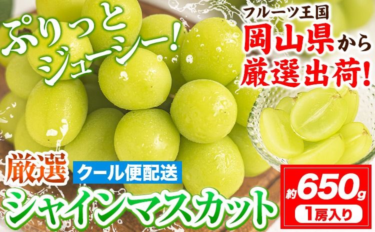 [先行予約] シャインマスカット 岡山 約650g 1房 厳選 旬 ぶどう ブドウ 葡萄 マスカット 果物 フルーツ ギフト 岡山県 笠岡市 訳あり クール便 爽やか 贅沢[2025年9月上旬〜11月中旬頃出荷]---kasaoka_zsy_19_650---