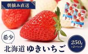 【受注後、随時発送！】【北海道産】ゆきいちご（ゆきぼたん/紅ほっぺ）赤白MIX×2Pセット 250g×2 計500g 苺 白いちご 一季成りイチゴ 希少 ギフト お取り寄せ ふるさと納税 北海道 中標津【59003】