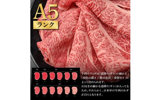 【CF-R7hbk】土佐和牛最高級A5特選クラシタロース＆バラセット900g 各450gずつ 牛肉 肉 お肉 和牛 国産 牛 クラシタロース バラ A5 最高級 特選 国産 豪華 贅沢 美味しい 柔らかい 肉汁