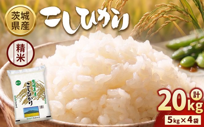 【令和8年産】茨城コシヒカリ 20kg（5kg×4袋）【精米】 | お米 米 こしひかり 茨城県産 白米 ブランド米 小分け