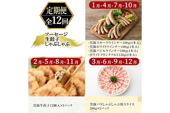 a888 《定期便全12回》鹿児島黒豚「短鼻豚」無添加ソーセージ＆生餃子＆しゃぶしゃぶ【鹿児島ますや】姶良市 豚肉 黒豚 無添加 ウィンナー ソーセージセット ウインナーソーセージ 豚しゃぶ 餃子 ぎょうざ ギョーザ おかず