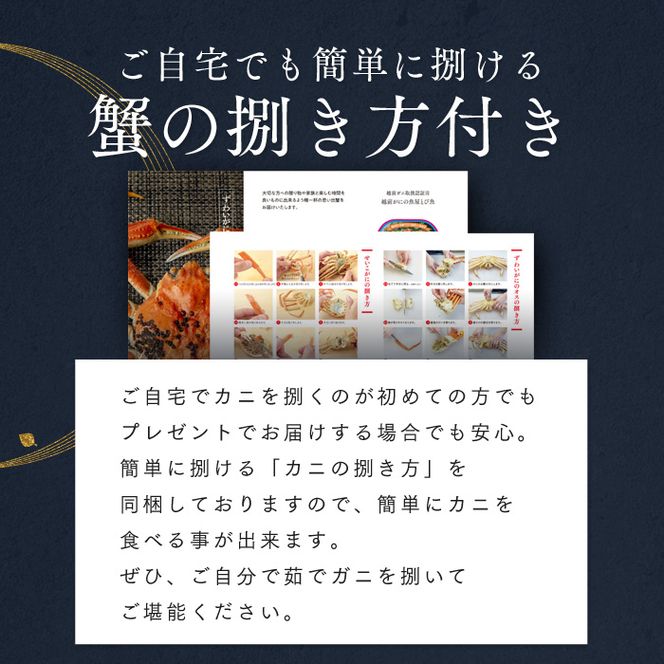 年末発送 訳あり茹で越前ガニ 500g以上×3杯(脚折れ) カニ ズワイガニ ボイル 福井県