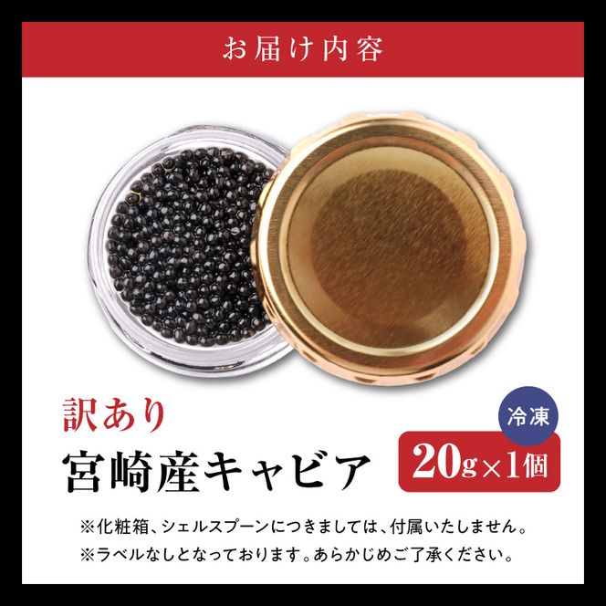 世界三大珍味　本格熟成キャビア　宮崎産キャビア　20g　お試し　訳あり　簡易パッケージ　N027-YB365