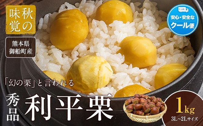 yF{DzI F{DY 1kg(3L-2LTCY)s2026N9{-10{oׁtԌ  \ XC[c Ƃ ØI a I F{D I---mifune_lcl_213_1---