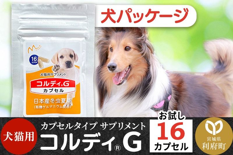 コルディG 16カプセル(犬猫用) 犬パッケージ|06_mnr-070101b