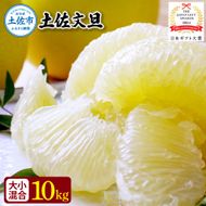【先行予約】園主こだわりの土佐文旦 10キロ 大小混合（４L～Mサイズ） 2027年1月下旬より順次発送 ぶんたん ブンタン 柑橘 みかん フルーツ 果物 家庭用 お取り寄せ 土佐【やの一果彩】 [BQAC015]