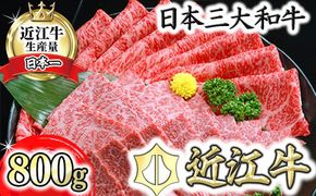 【げんさん】近江牛A5ランク焼肉・すき焼セット【800g】【DG11W1】
