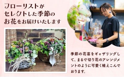 【選べる回数】季節のお花が楽しめる☆お花屋さん 通常便 1回 定期便 3回 5回 ブリコラージュフラワー 寄せ植え 15~20株