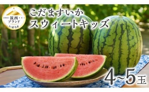 【 JA北つくば 】 こだますいか 「 スウィートキッズ 」 4～5玉 2026年産 スイカ 果物 フルーツ [AE006ci]