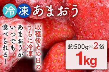 福岡県産【博多冷凍あまおう】 約1kg 産地直送 産直 朝採れ 朝採り 新鮮 瞬間冷凍 いちご イチゴ 苺 お取り寄せグルメ お取り寄せ 福岡 お土産 九州 福岡土産 取り寄せ グルメ 福岡県 ※北海道・沖縄・離島は配送不可