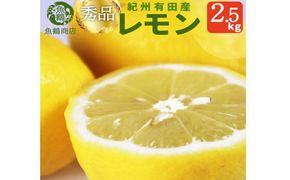 秀品　紀州有田産レモン　2.5kg【予約】※2027年3月上旬頃〜2027年3月下旬頃に順次発送予定(お届け日指定不可) レモン れもん 果物 柑橘【uot776】