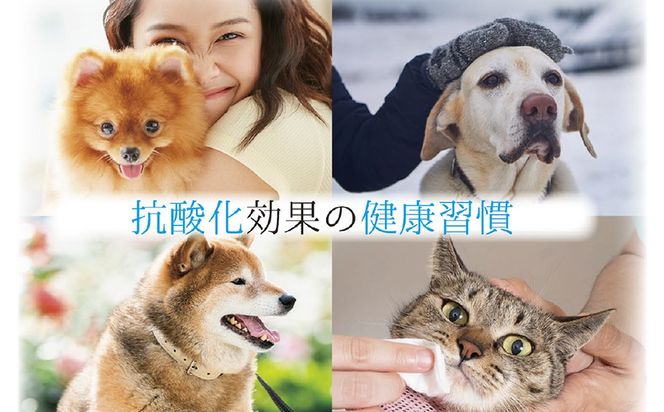 アニマルペットシータラクト 60カプセル入り×2箱【サプリメント 健康 健康食品 ペット 犬猫用 免疫 関節 腰 ビタミン 乳酸菌 三重県 四日市市 四日市 ふるさと納税】 -[G1223]