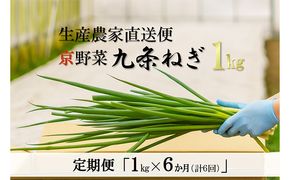 【6か月定期便】生産農家直送 京野菜・九条ねぎ1kg〈定期便 ねぎ ネギ 葱 九条ねぎ 京野菜 京都 新鮮 甘い 農家直送 野菜〉 6ヶ月 6回 半年 