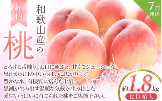 フルーツ 定期便 【全3回】＼フルーツ大国和歌山からお届け／  旬のフルーツ 定期便（いちご・桃・ピオーネ）【tkb401】